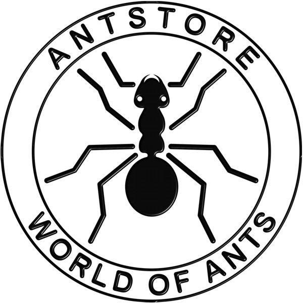 ants